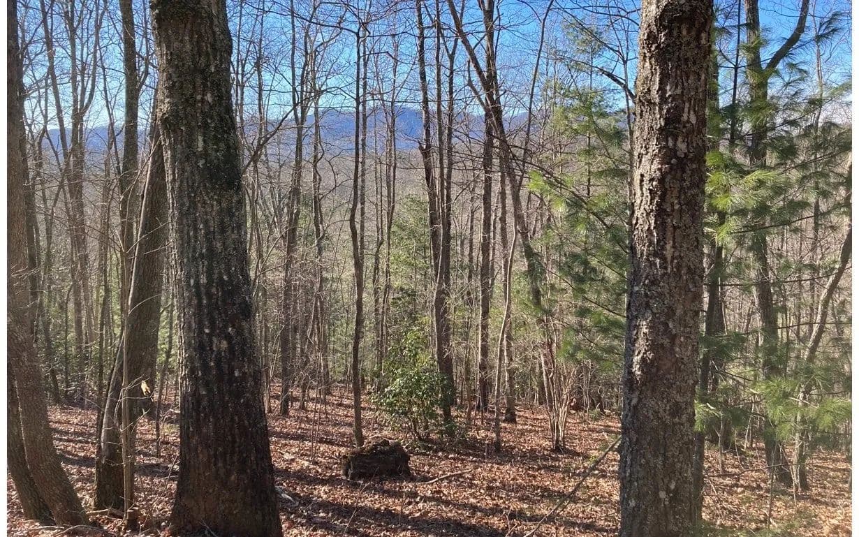 Lots & Land-Other in Murphy - land for sale
