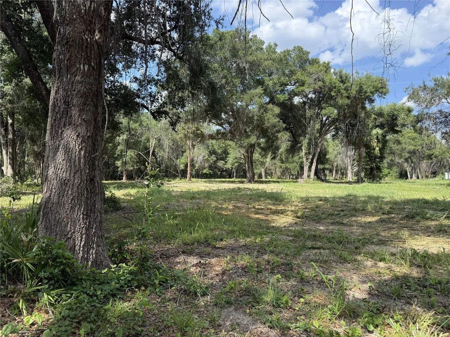 3.97 Acres of Land for Sale in GENEVA, FL - Geneva, Florida, 32732