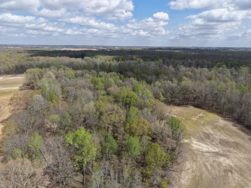 253.5 Acres in Haywood County, TN