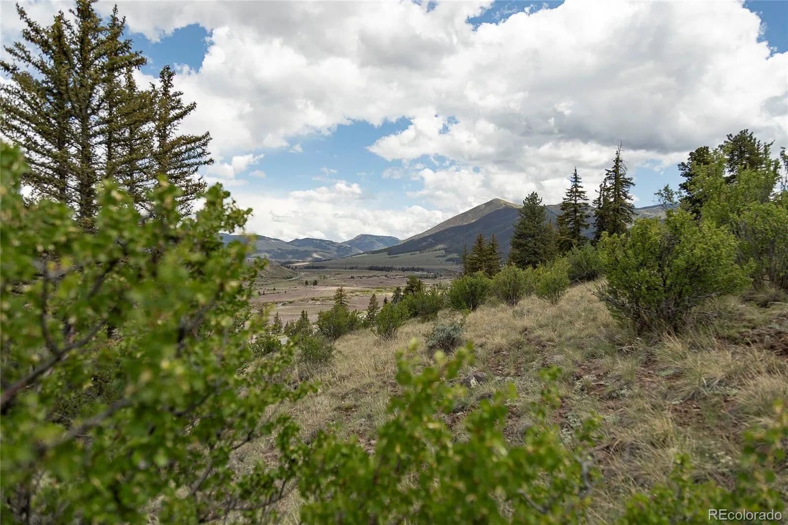 51.84 Acres of Land for Sale in Creede, CO - Creede, Colorado, 81130