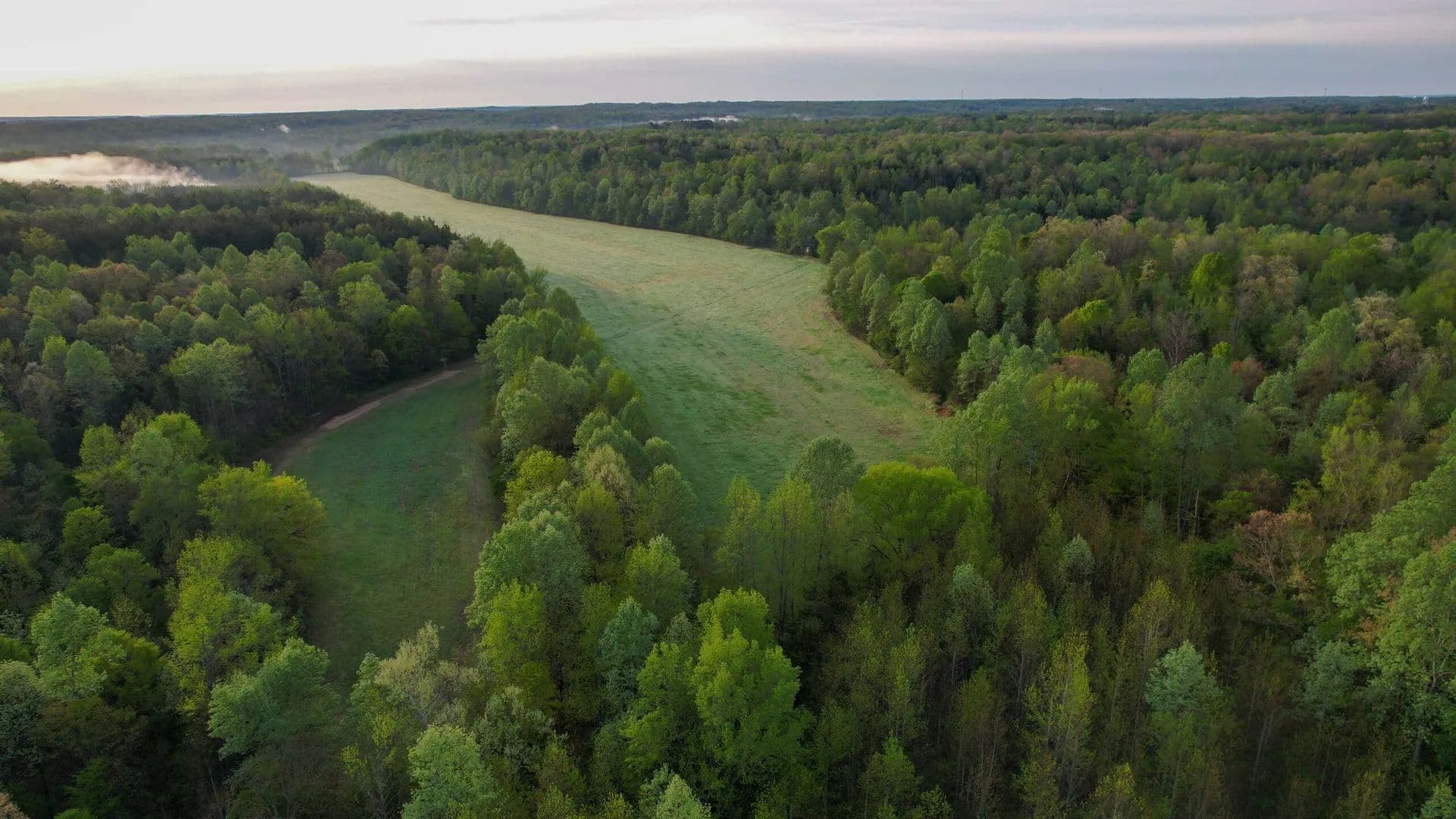 Scotts Hill Farm with Tillable - land for sale