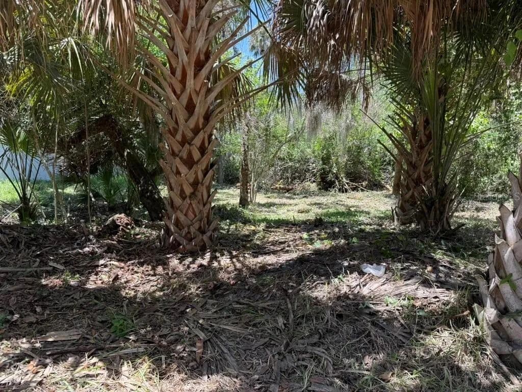 Property from 110 OAK STREET - KW - Flagler Beach, Florida, 32136
