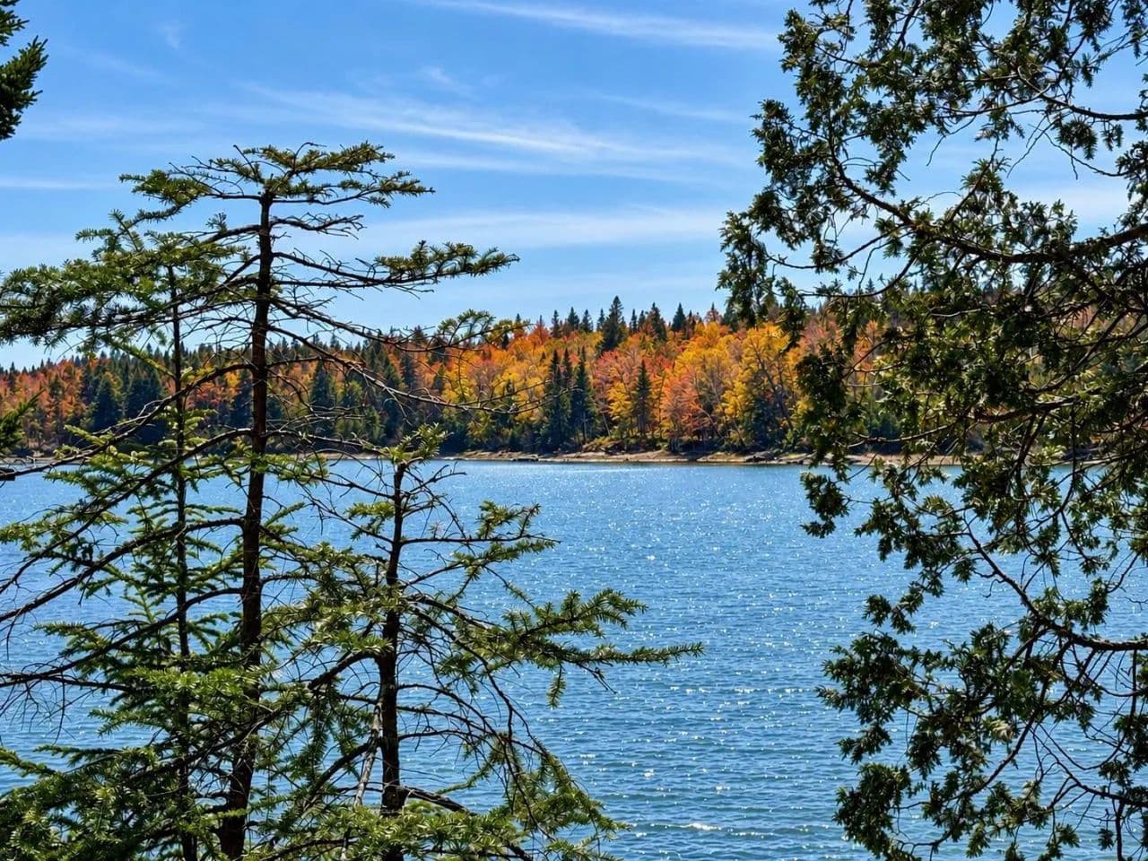 Land -Single Family Acreage in Machiasport - Machiasport, Maine, 04655
