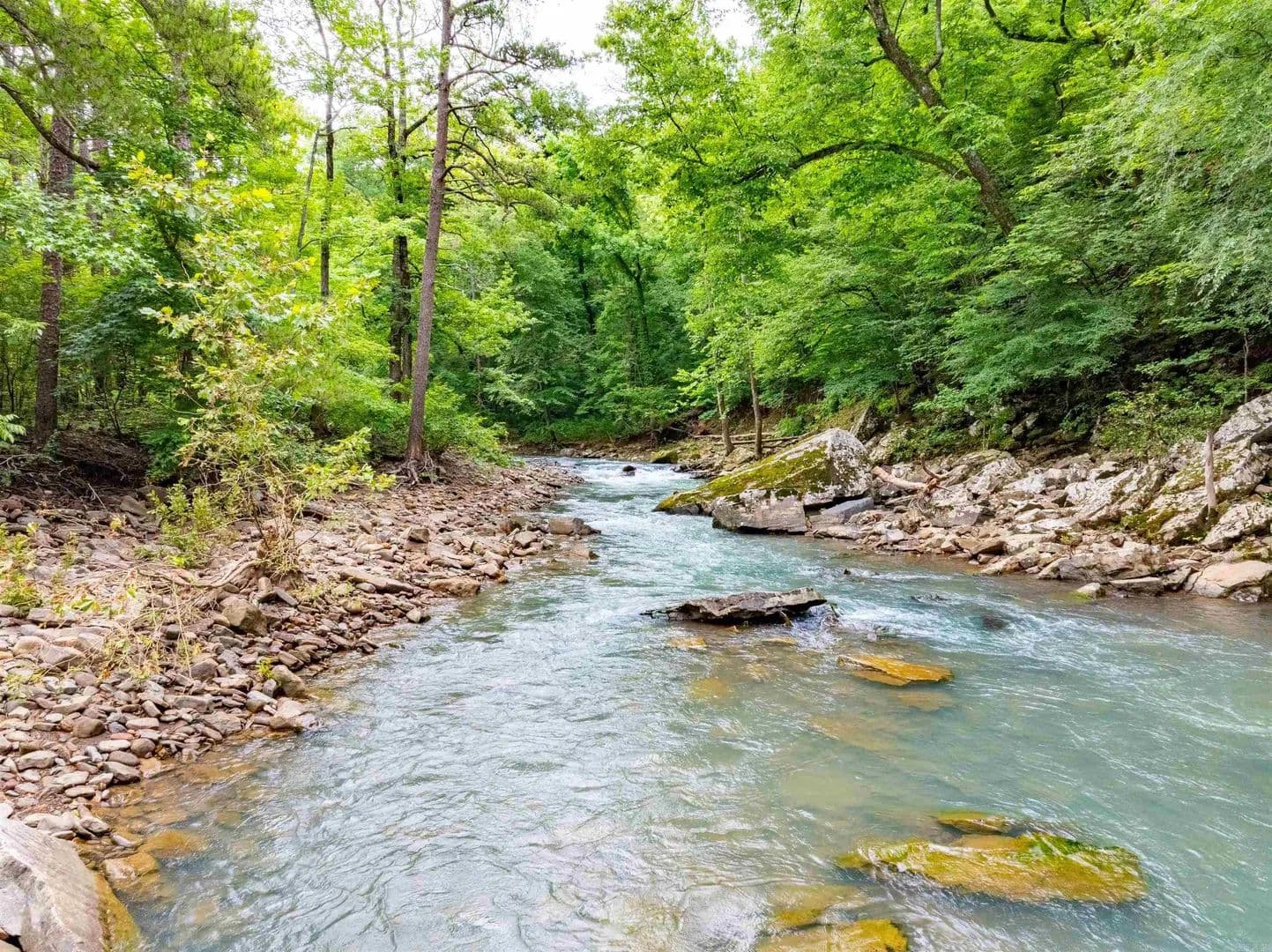15 Acres of Land for Sale in Hector, AR - Hector, Arkansas, 72843