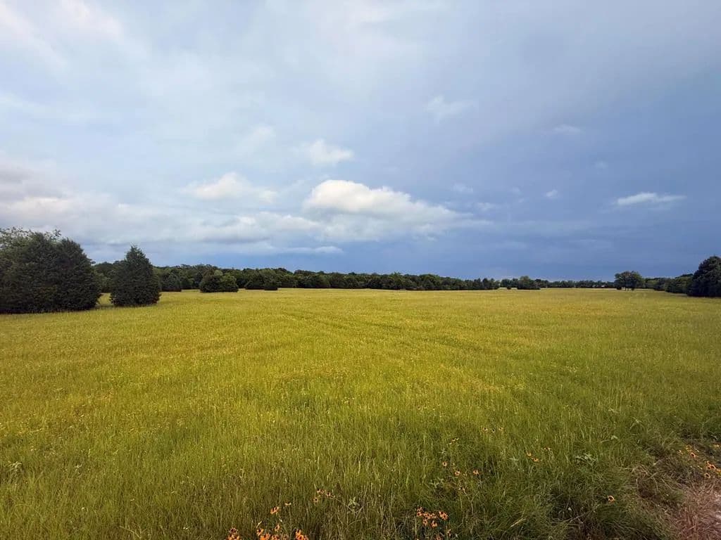 28 Acres of Land for Sale in Eustace, TX - Eustace, Texas, 75124