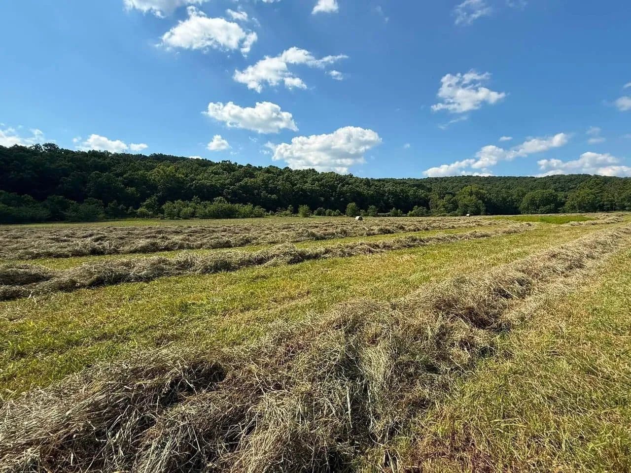269.62 Acres, Creek, Springs, Tillable Ground, 5 Bedrooms, 5 Baths, 2 Kitchens, Full Finished Basement - land for sale
