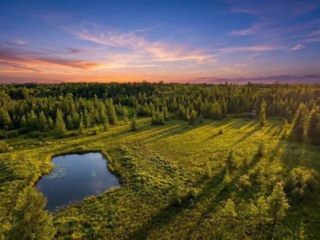 Vacant Land (10+ Acres) in Pittsville - Pittsville, Wisconsin, 54466