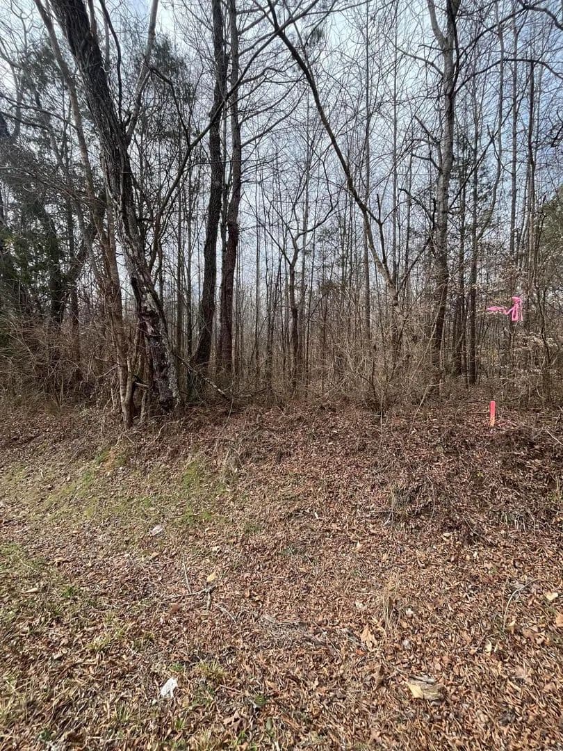 Property from 7 Tennessee 304 - KW - Decatur, Tennessee, 37322