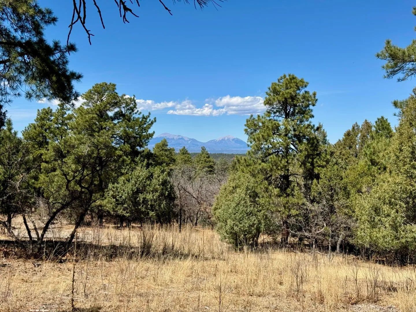 34999 Timber Park Drive Pkwy 7B/D51, Trinidad, CO 81082 - Trinidad, Colorado, 81082