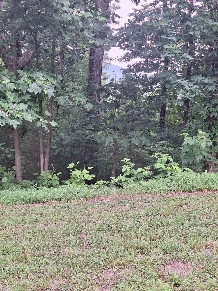 Lots & Land-Other in Ellijay - land for sale