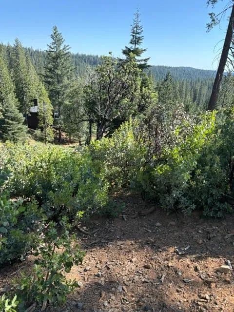 Property from 1088 Greensboro Way - KW - Arnold, California, 95223