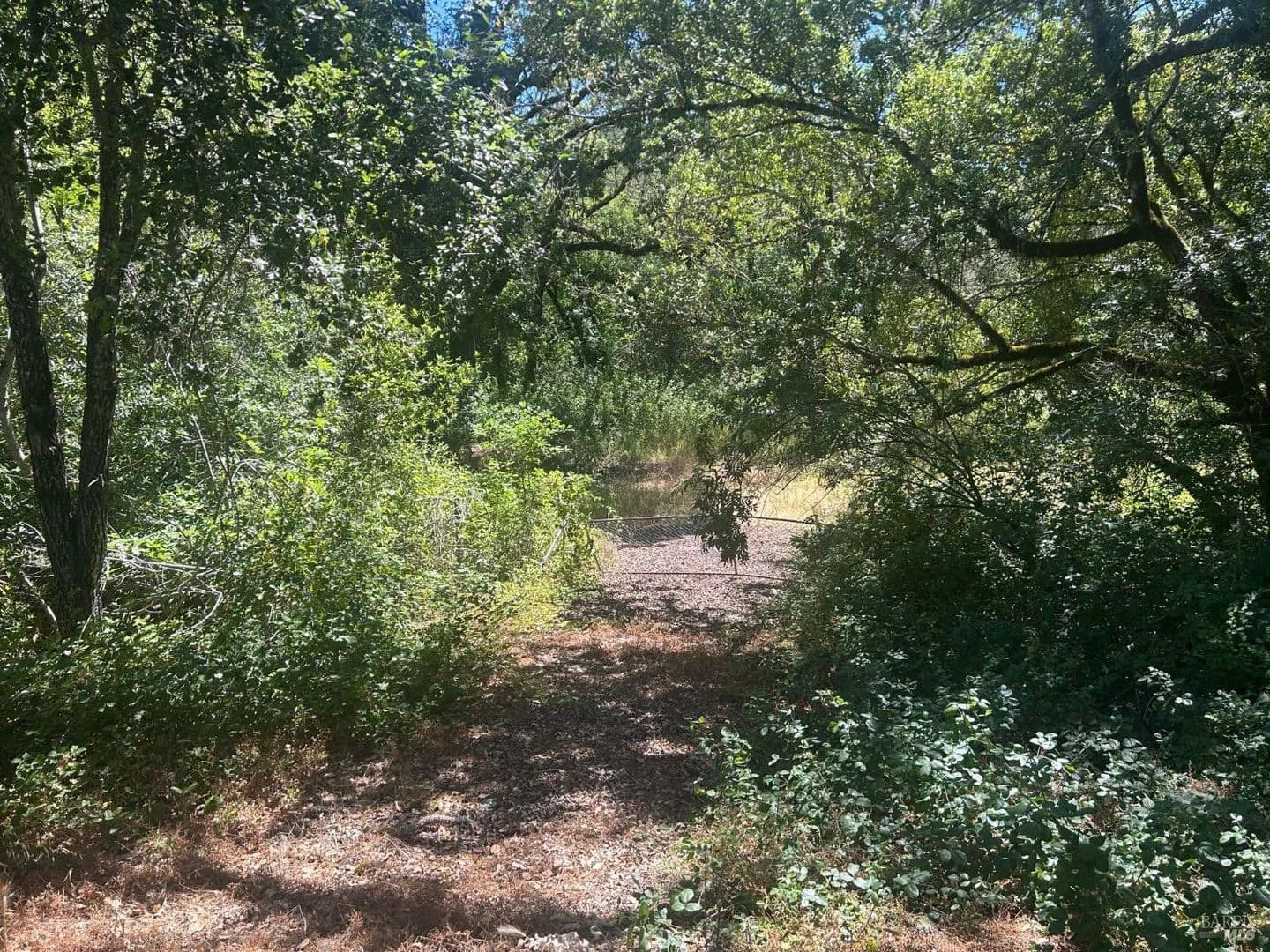 Property from 2600 Calistoga Road - KW - Santa Rosa, California, 95404