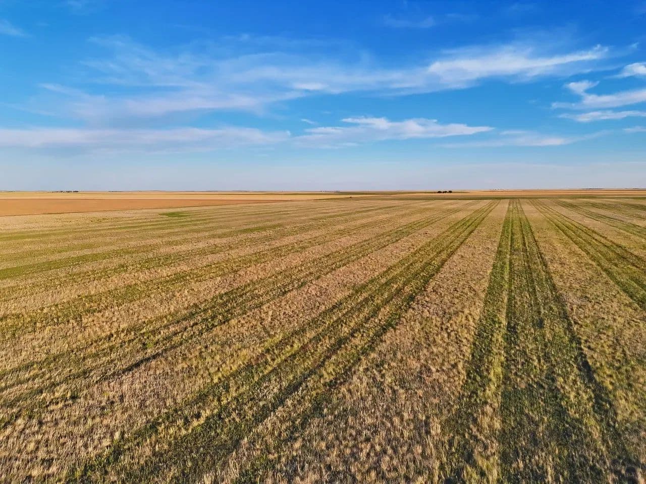 Quarter Section of Quality Cropland with Good Road Access - Otis, Colorado, 80743