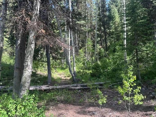 2.16 Acres of Land for Sale in Brighton, Utah - Brighton, Utah, 84121