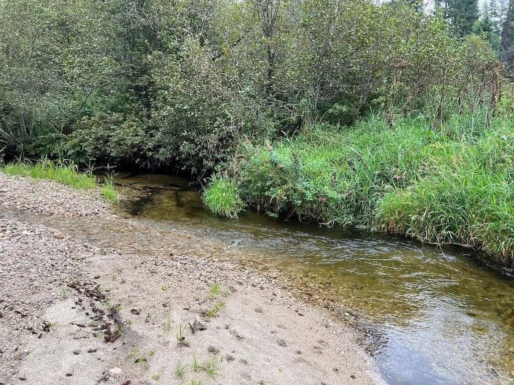 Property from NKA Soggy Bottom Ln - KW - Cusick, Washington, 99119