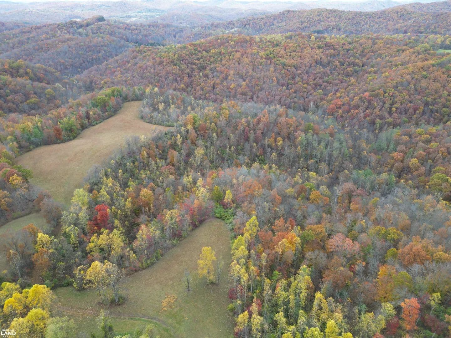 Unrestricted Mountain Acreage - Endless Possibilities - Frametown, West Virginia, 26623