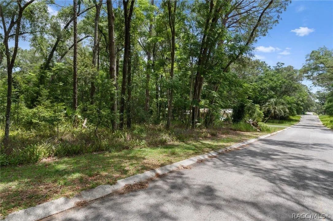 Lots & Land-Other in Inverness - Inverness, Florida, 34452