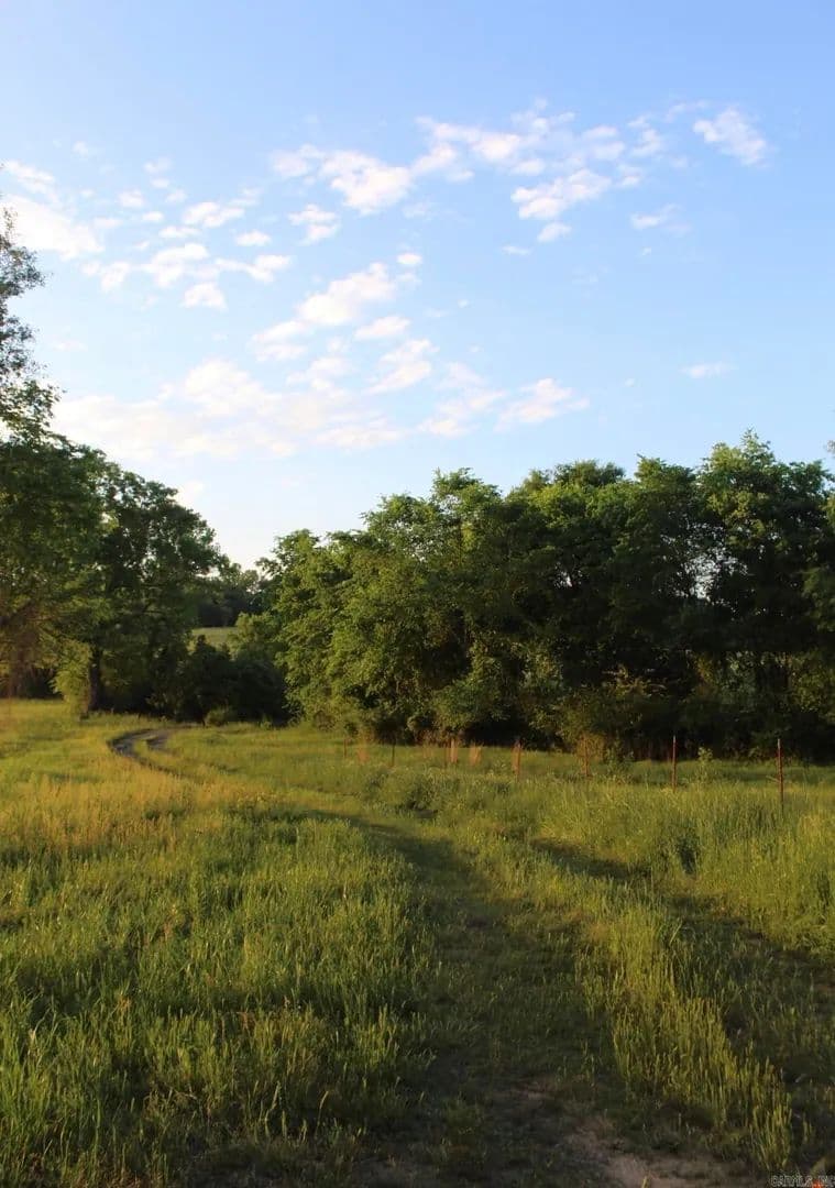 Lots & Land-Other in Amity - Amity, Arkansas, 71921