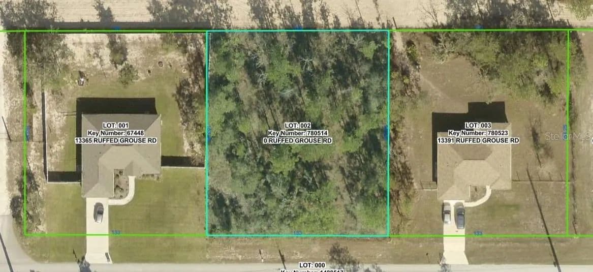 Property from 0 RUFFED GROUSE ROAD - KW - Weeki Wachee, Florida, 34614