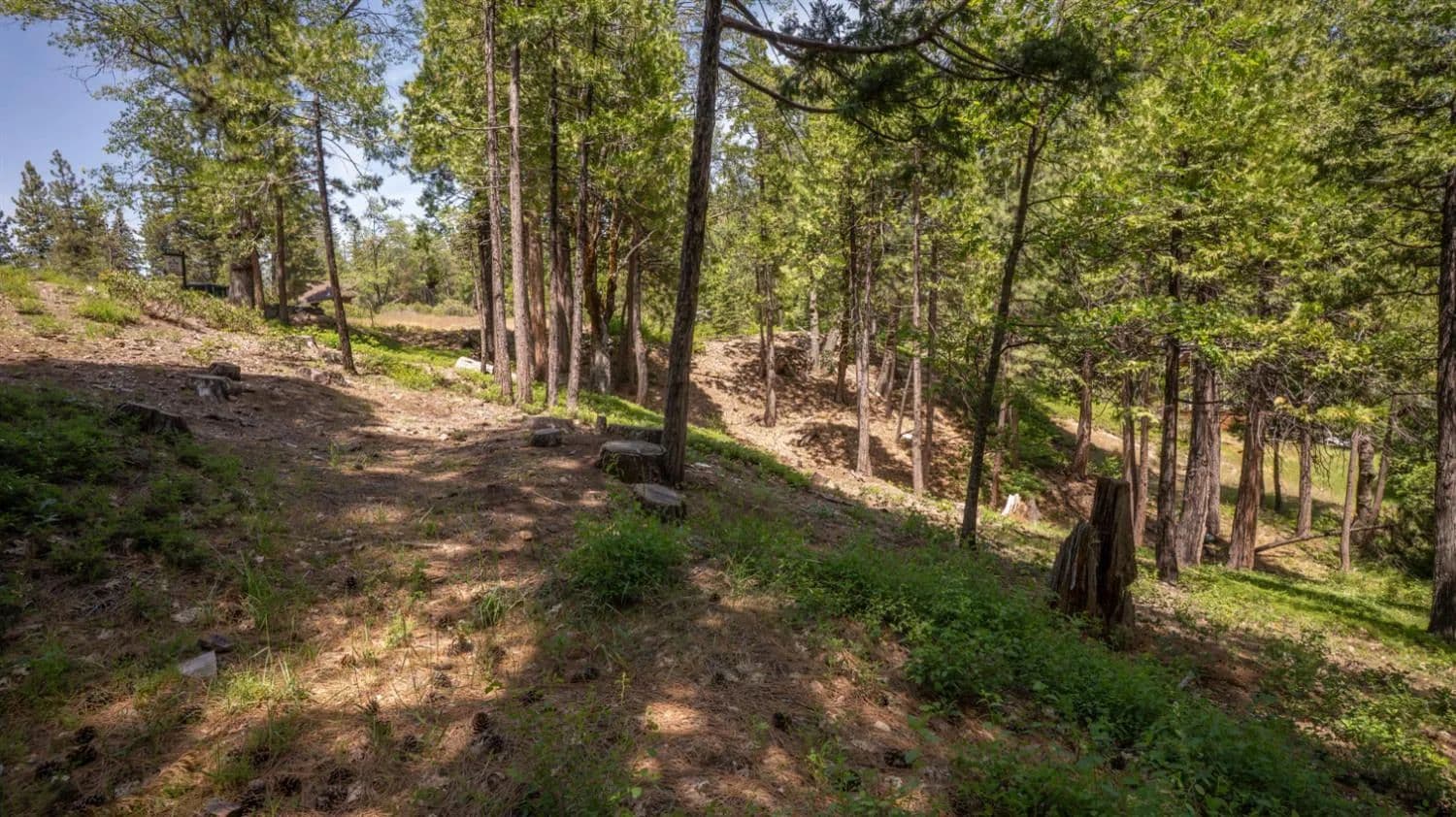 Property from 2690 Cheyenne Way - KW - Dorrington, California, 95223
