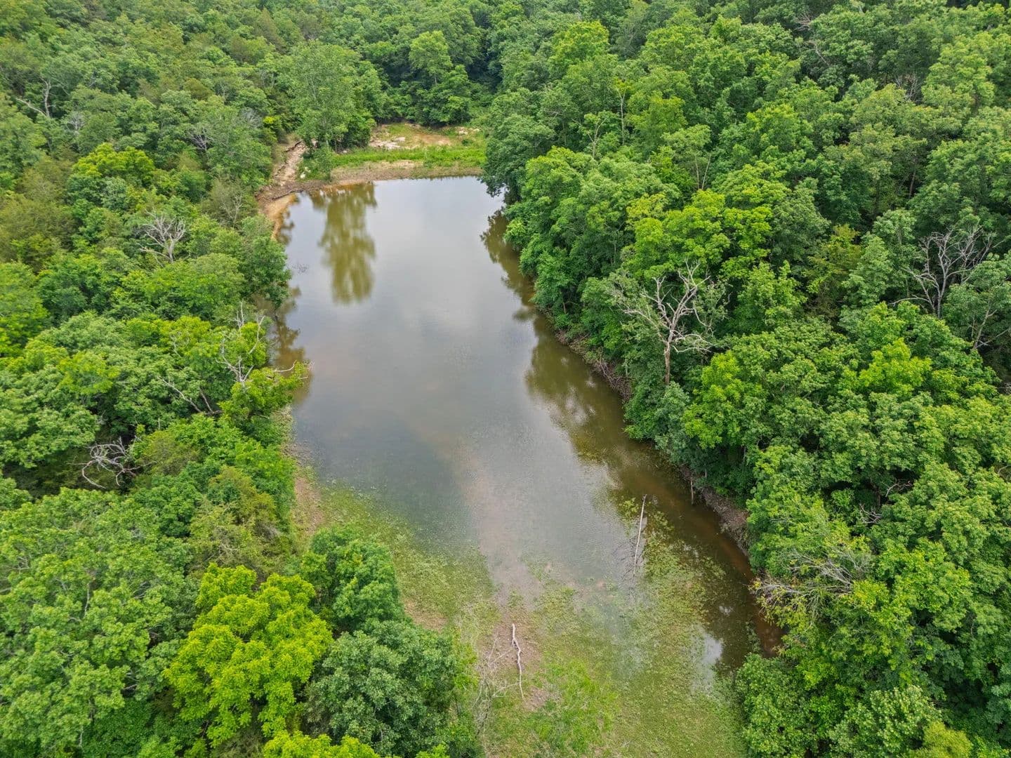 40 Acres of Land for Sale in Chadwick, MO - Chadwick, Missouri, 65629