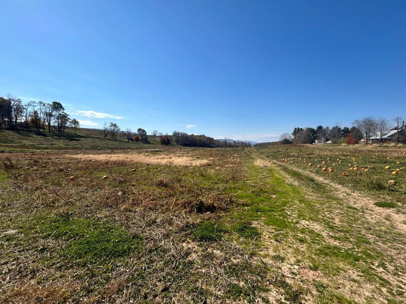 Cedar Springs Farm- Tract A - Sugar Grove, Virginia, 24375