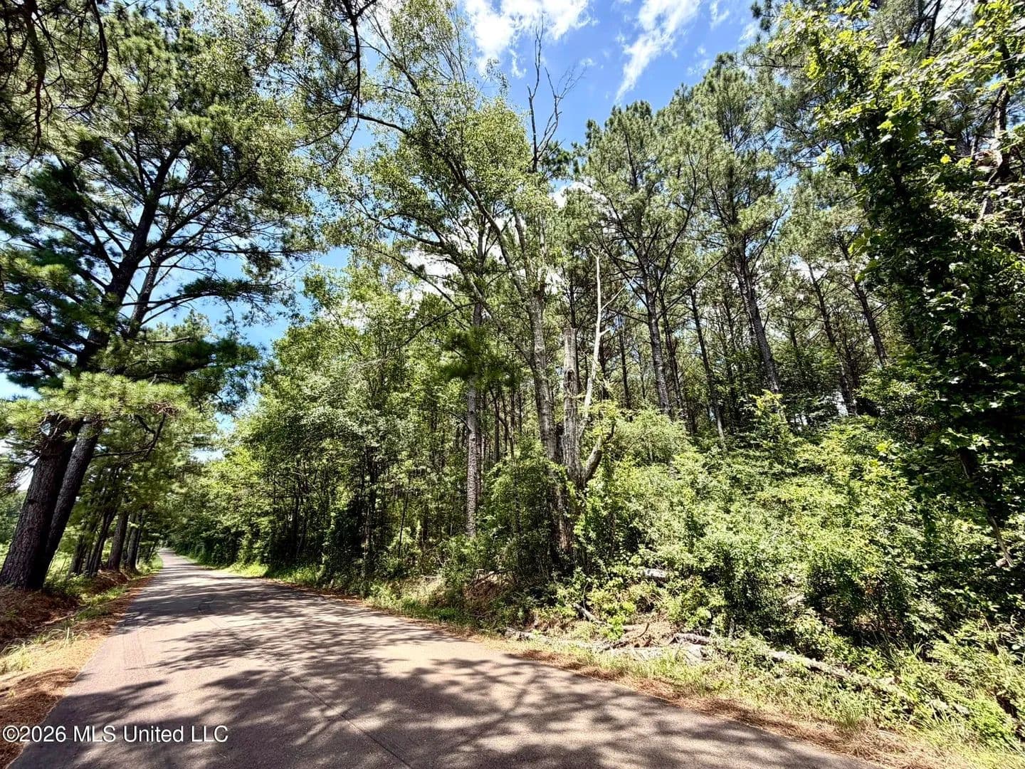 16 Acres of Land for Sale in Smithdale, MS - Smithdale, Mississippi, 39664