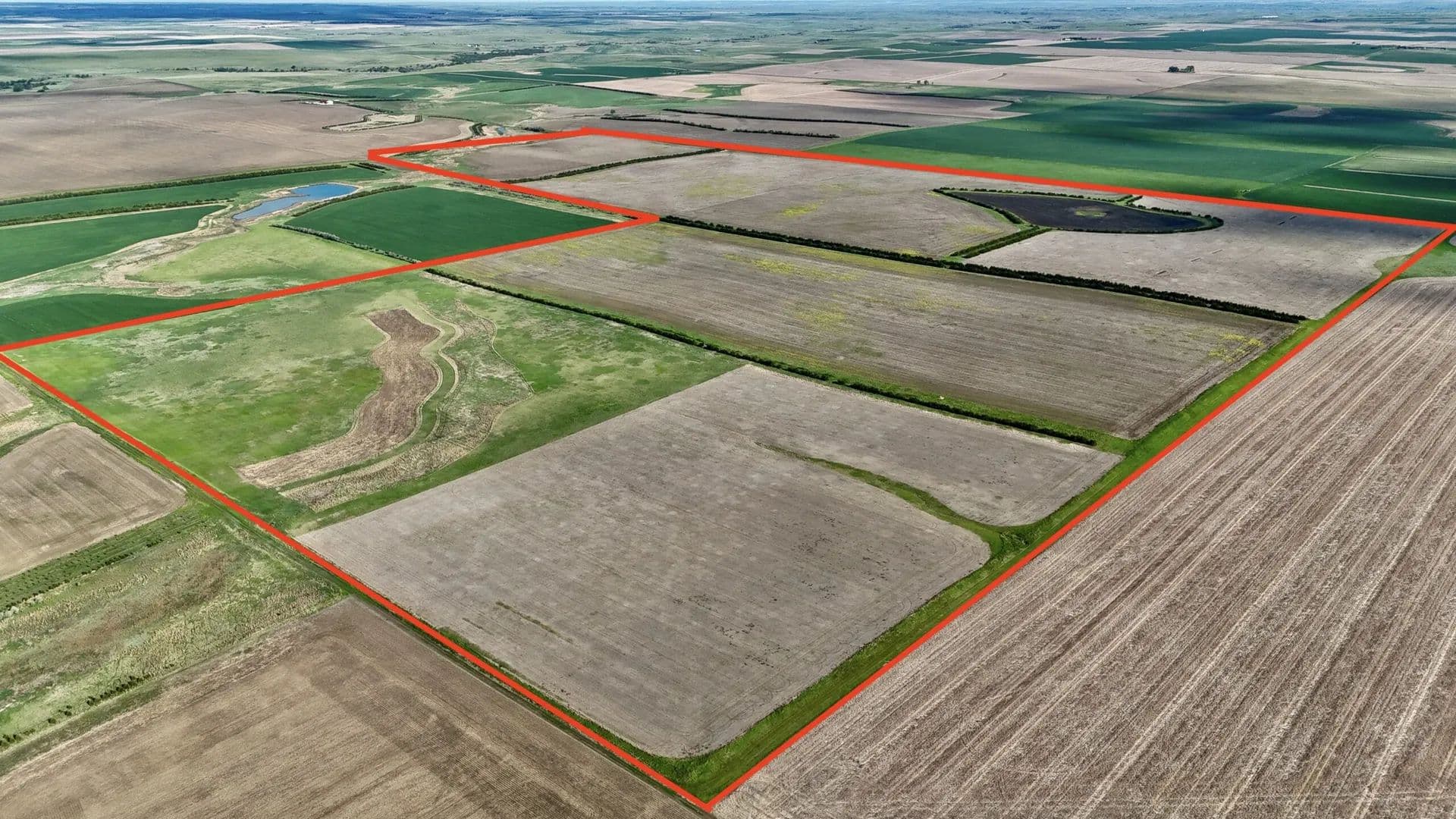 Elsassers Ringneck Reserve - land for sale