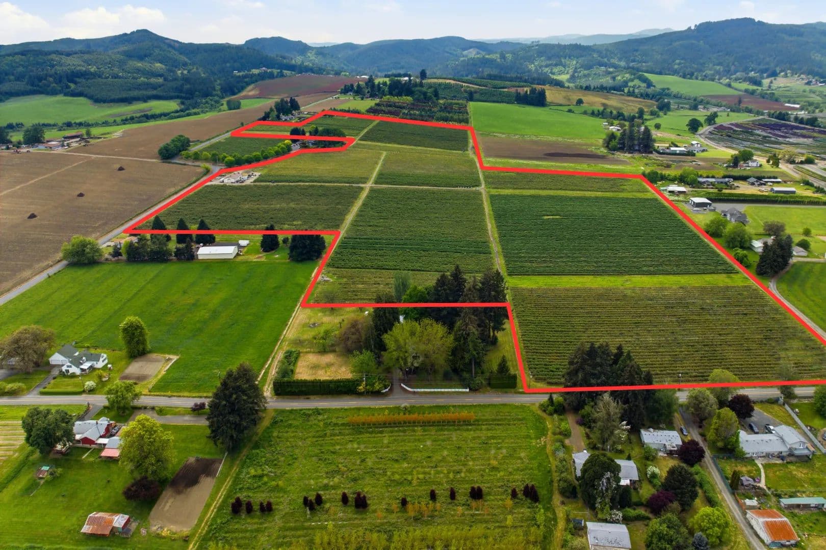 Established Blueberry Farm Near Forest Grove - Forest Grove, Oregon, 97116