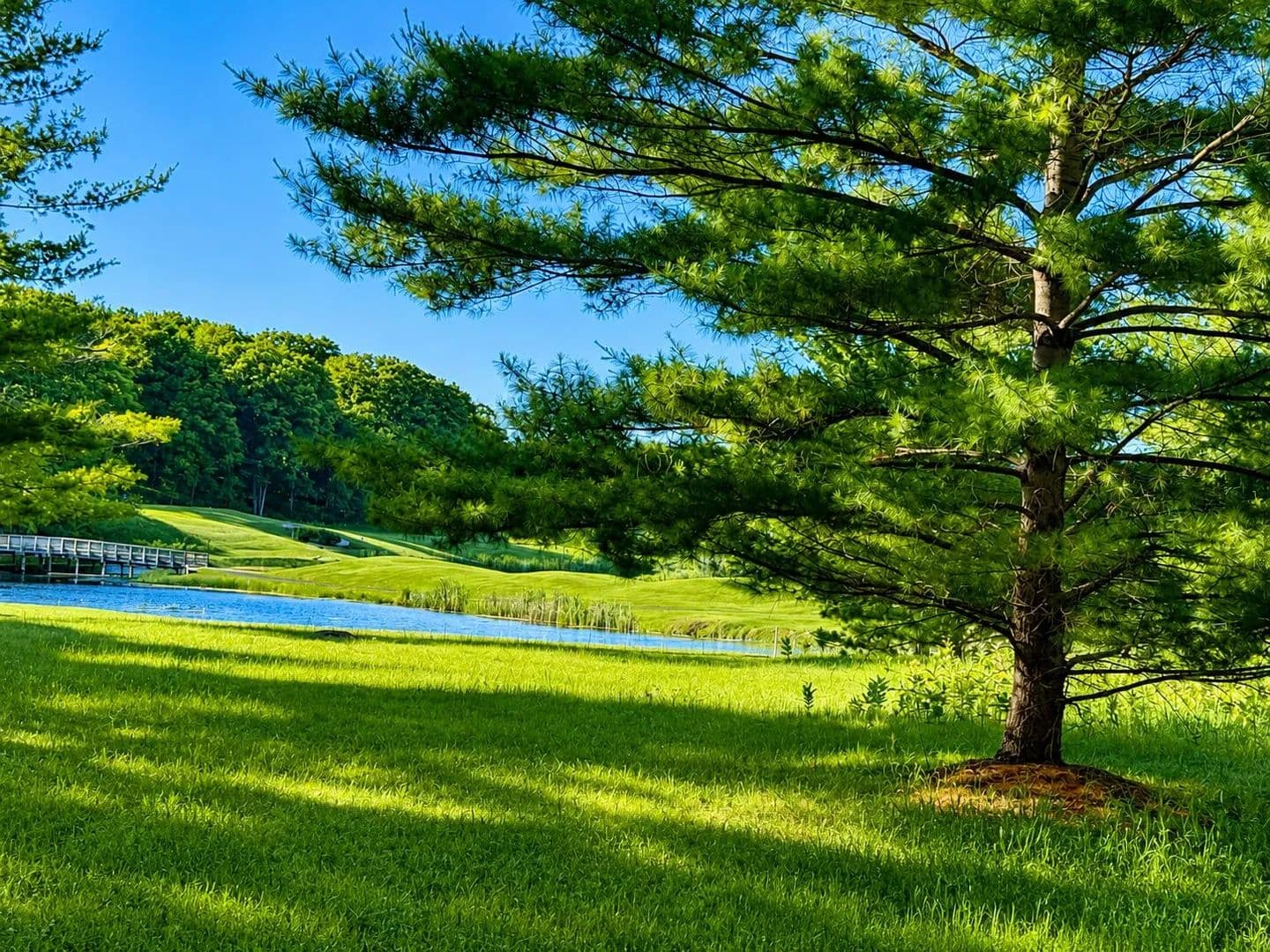 Lots & Land-Other in Canadian Lakes - Canadian Lakes, Michigan, 49346