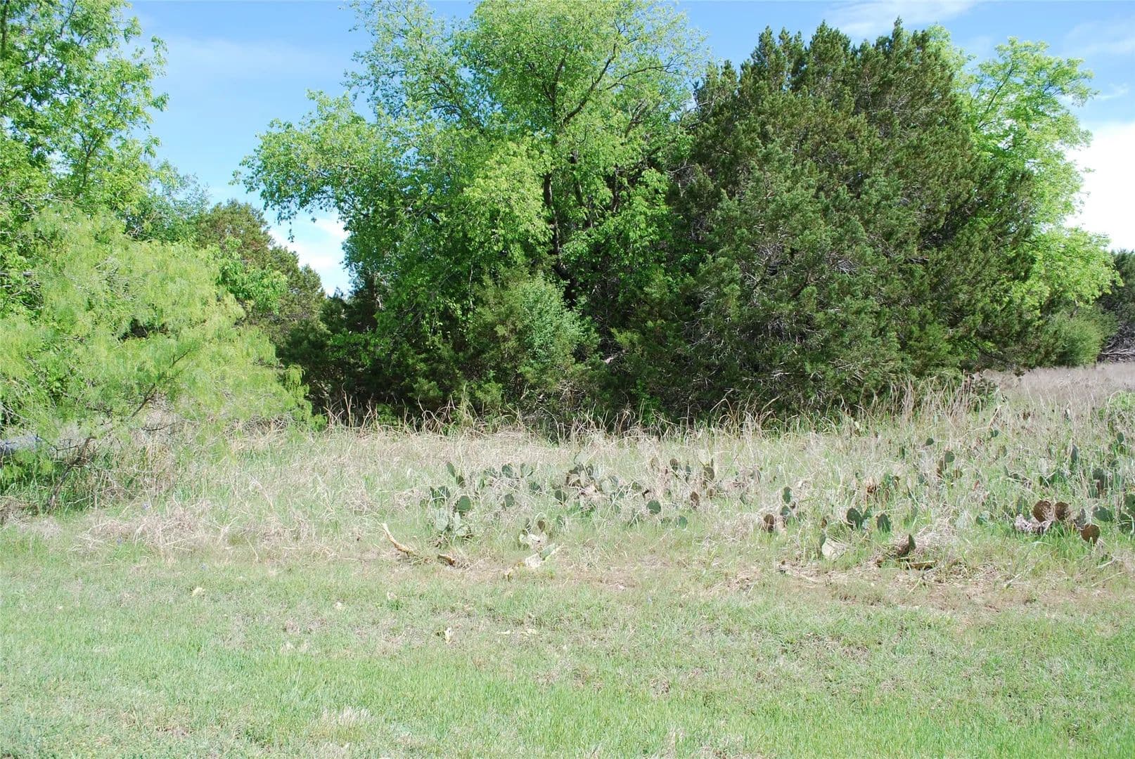 0.14 Acres of Land for Sale in Whitney, Texas - Whitney, Texas, 76692
