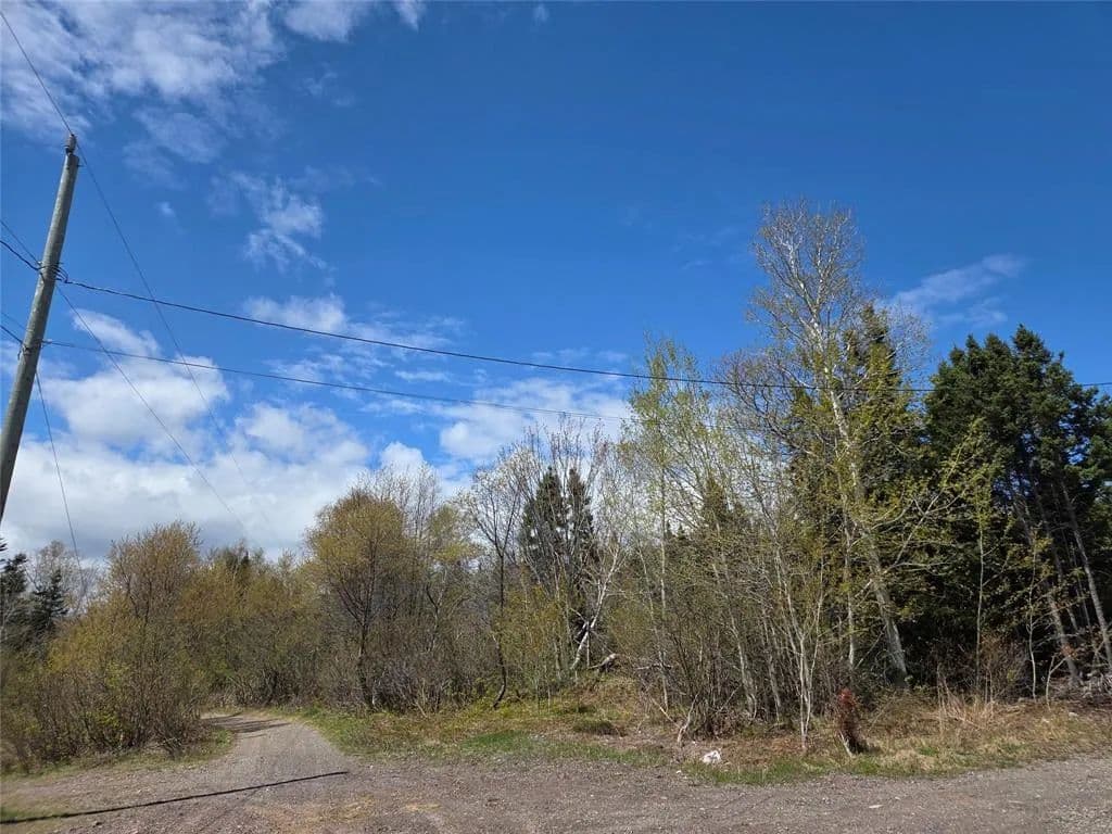 Land for Sale in Northern Arm, NL - Canada