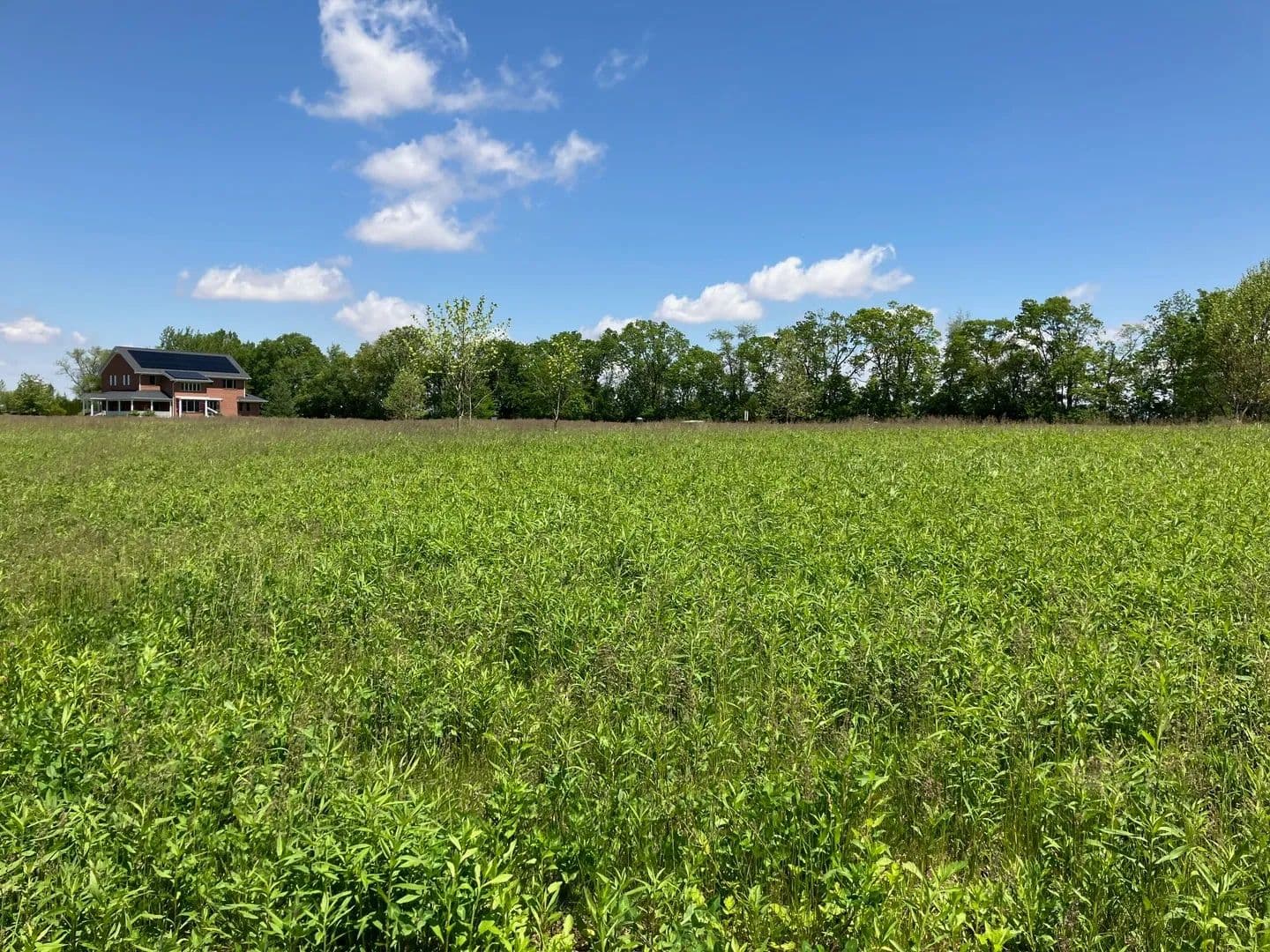 0.5 Acres of Land for Sale in Urbana, IL - Urbana, Illinois, 61802