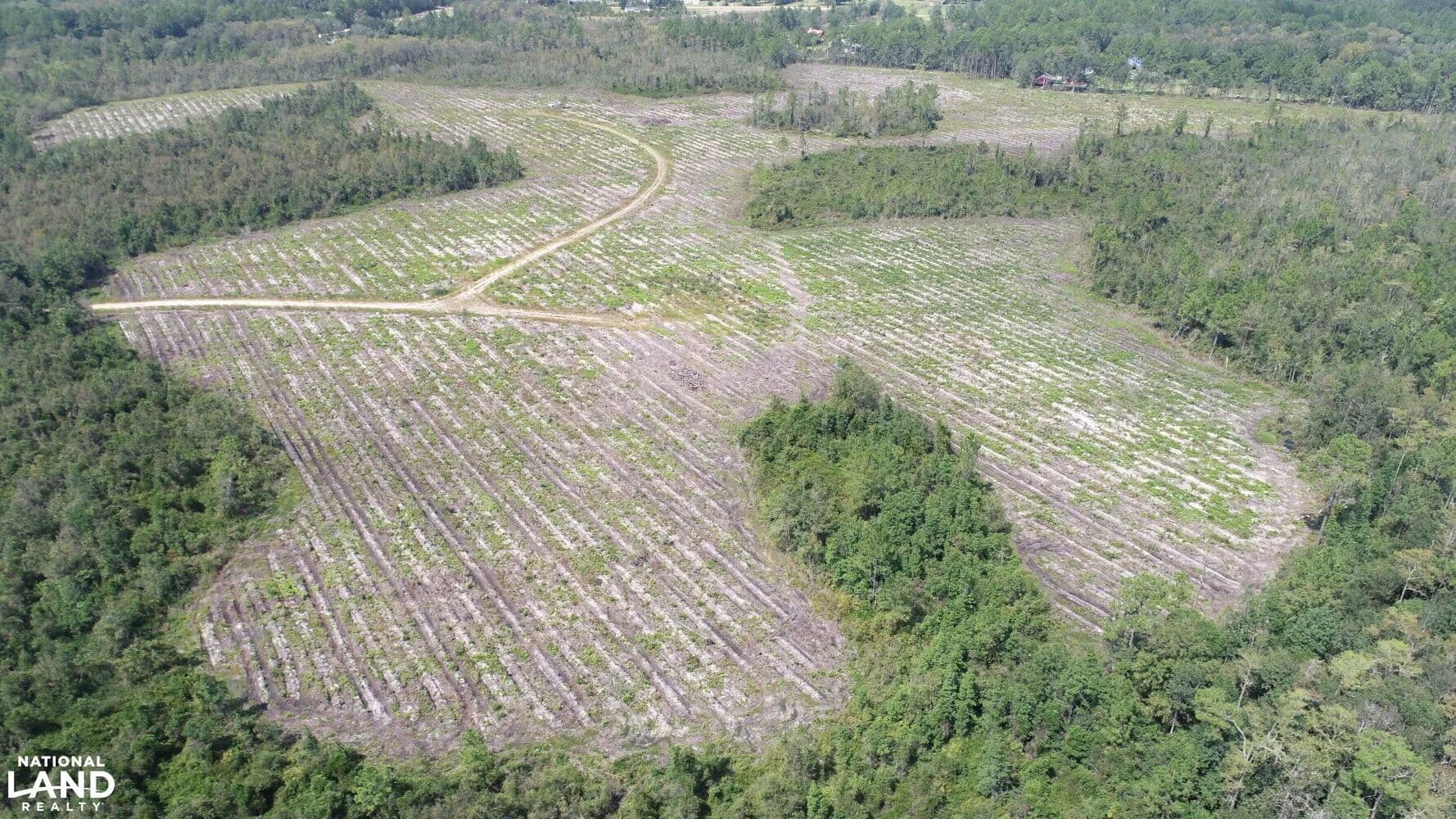 Miller Wells Tract - Gum Branch, Georgia, 31313