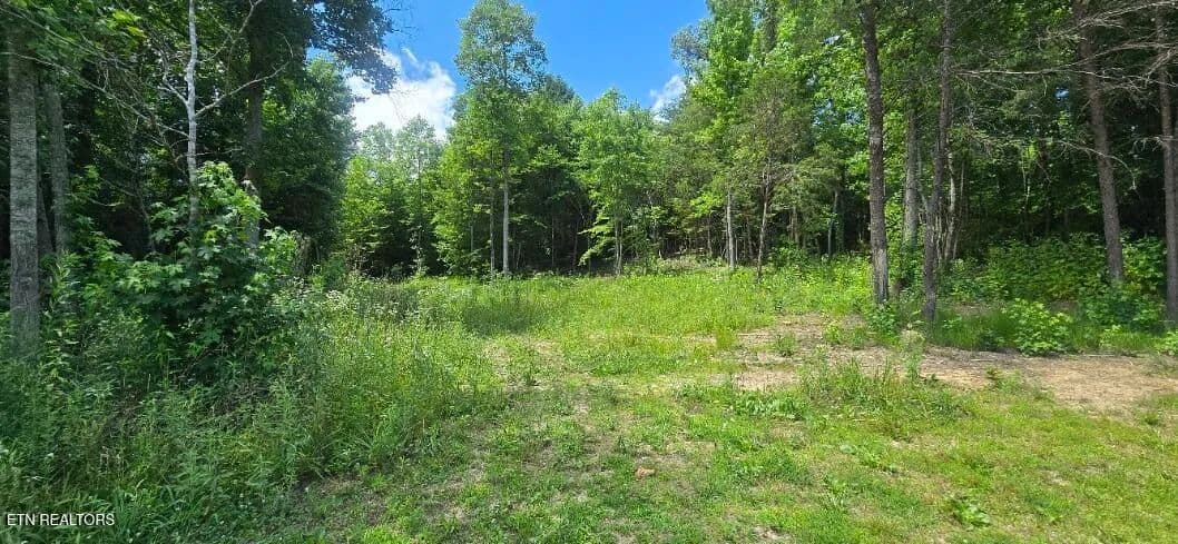 1 Acre of Land for Sale in Huntsville, Tennessee - Huntsville, Tennessee, 37756