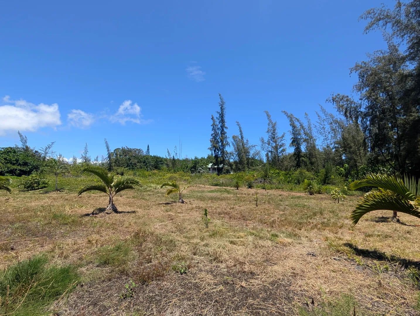 0.52 Acres of Land for Sale in Keaau, HI - Keaau, Hawaii, 96749