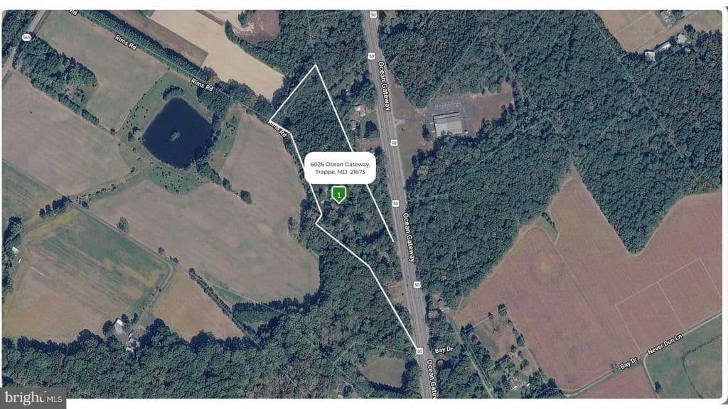 10.7 Acres of Land for Sale in Trappe, Maryland - Trappe, Maryland, 21673