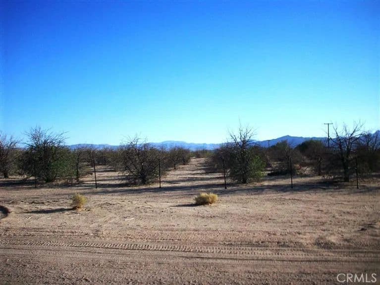 Lots & Land-Other in Newberry Springs - Newberry Springs, California, 92365