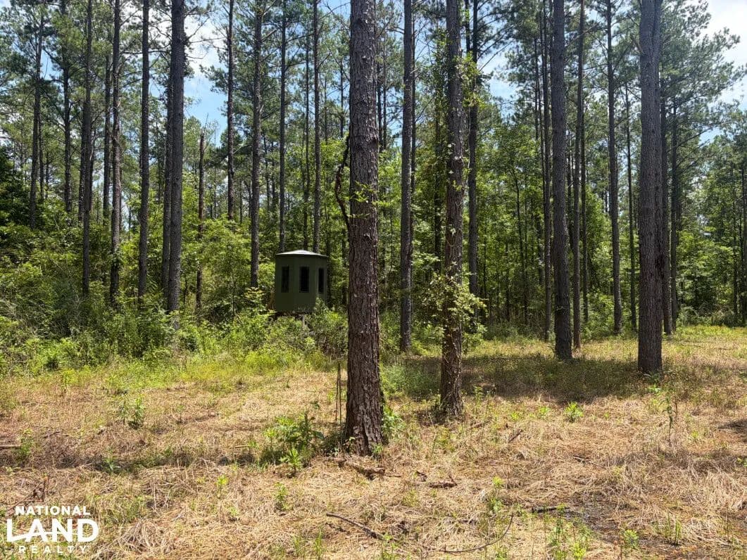 Elon Road Timber, Recreation & Homesite Tract - Macon, Mississippi, 39341
