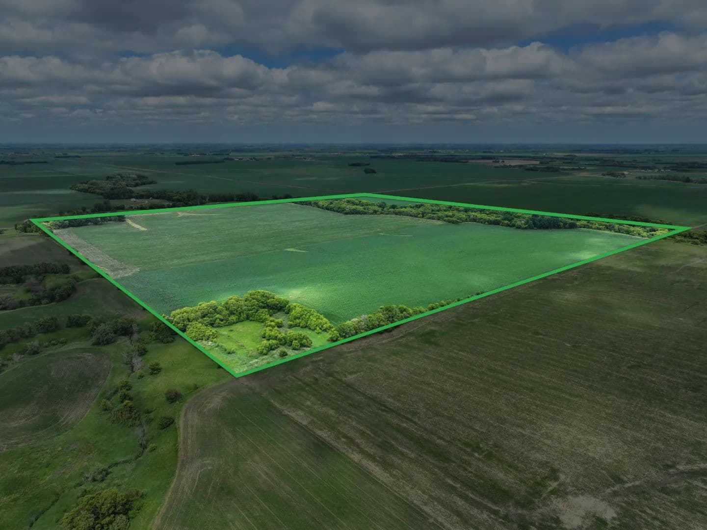 161.98± Acre Farm Auction Cottonwood County - land for sale