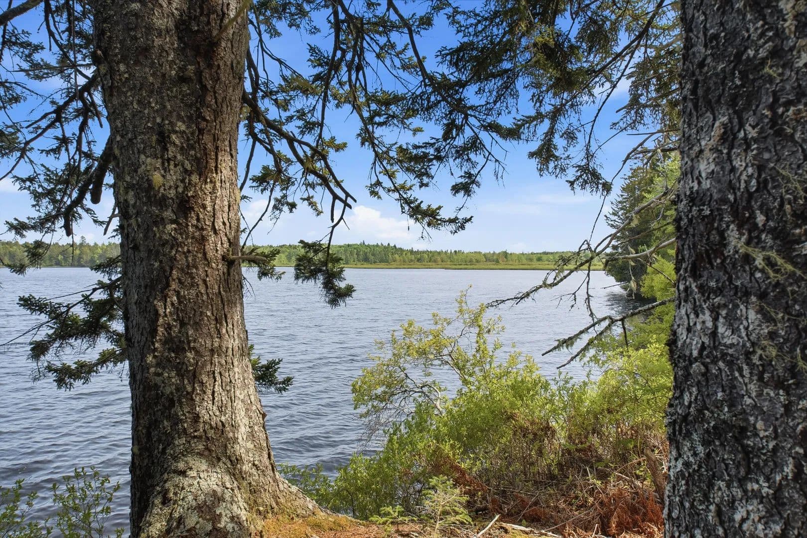 3.2 Acres of Land for Sale in Whiting, Maine - Whiting, Maine, 04691