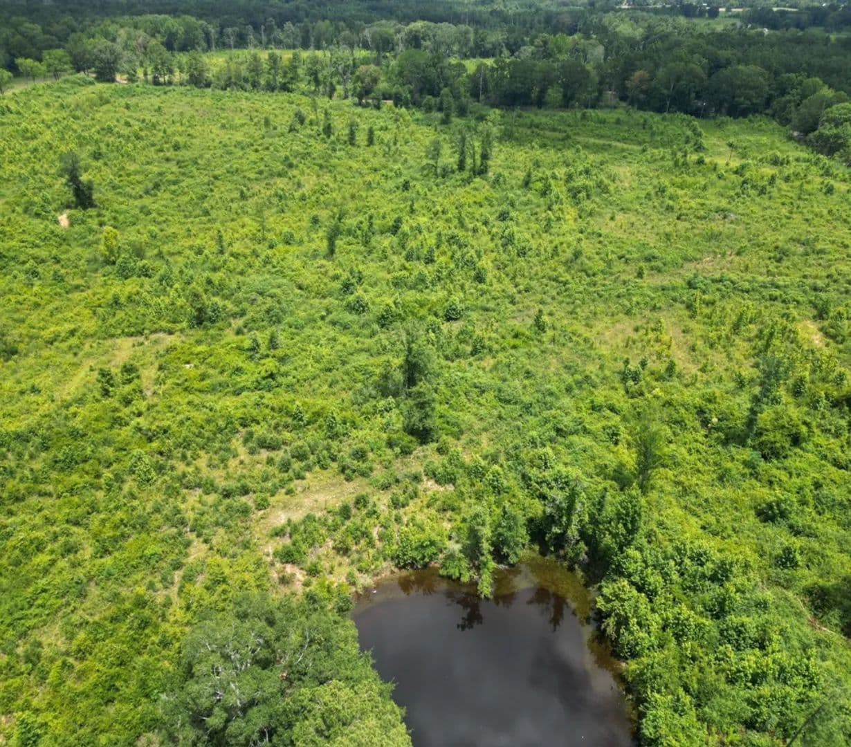 40 Acres in Simpson County in Mendenhall, MS - Mendenhall, Mississippi, 39114