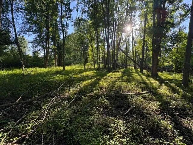 22.91 Acres of Land for Sale in Potterville, Michigan - Potterville, Michigan, 48876