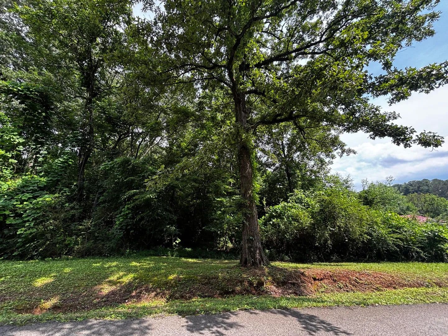 Property from 0 Kendall Avenue - KW - Bridgeport, Alabama, 35740