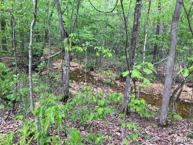 Property from 244 Madison CR 410 - KW - Fredericktown, Missouri, 63645