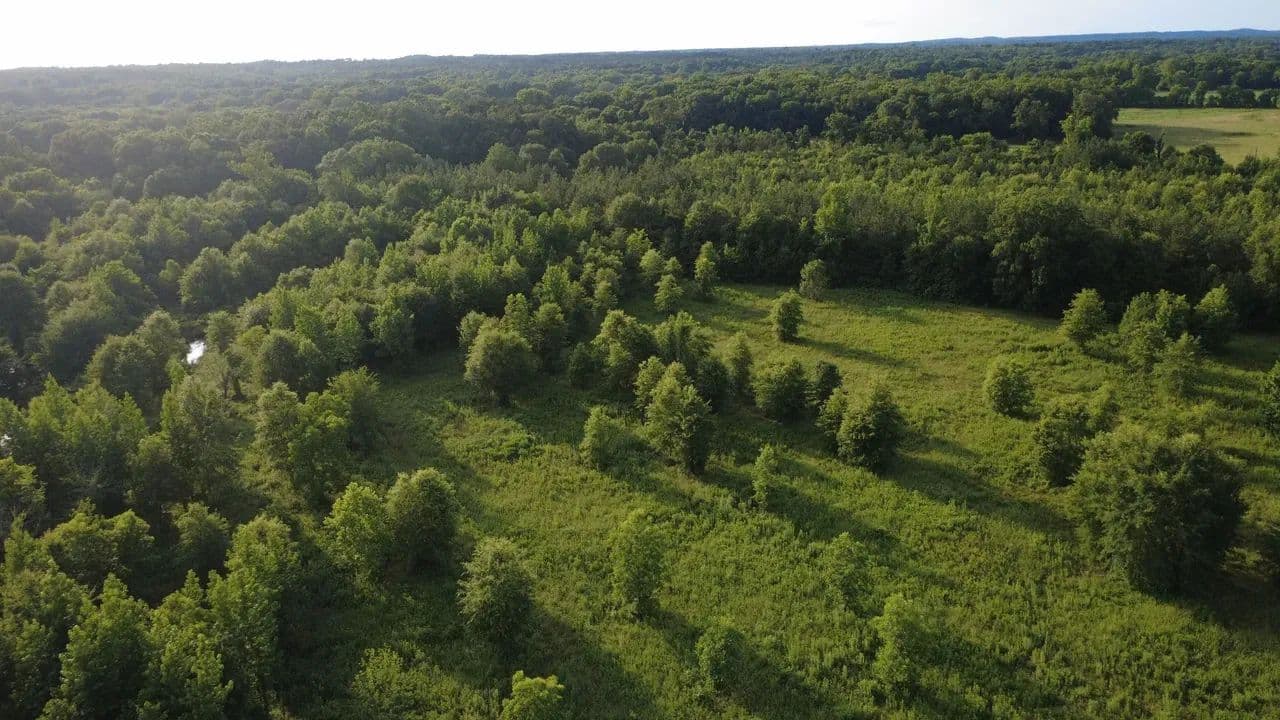 20 Acres of Premier River Bottom Hunting, Recreational & Investment Property - Broken Bow, Oklahoma, 74728
