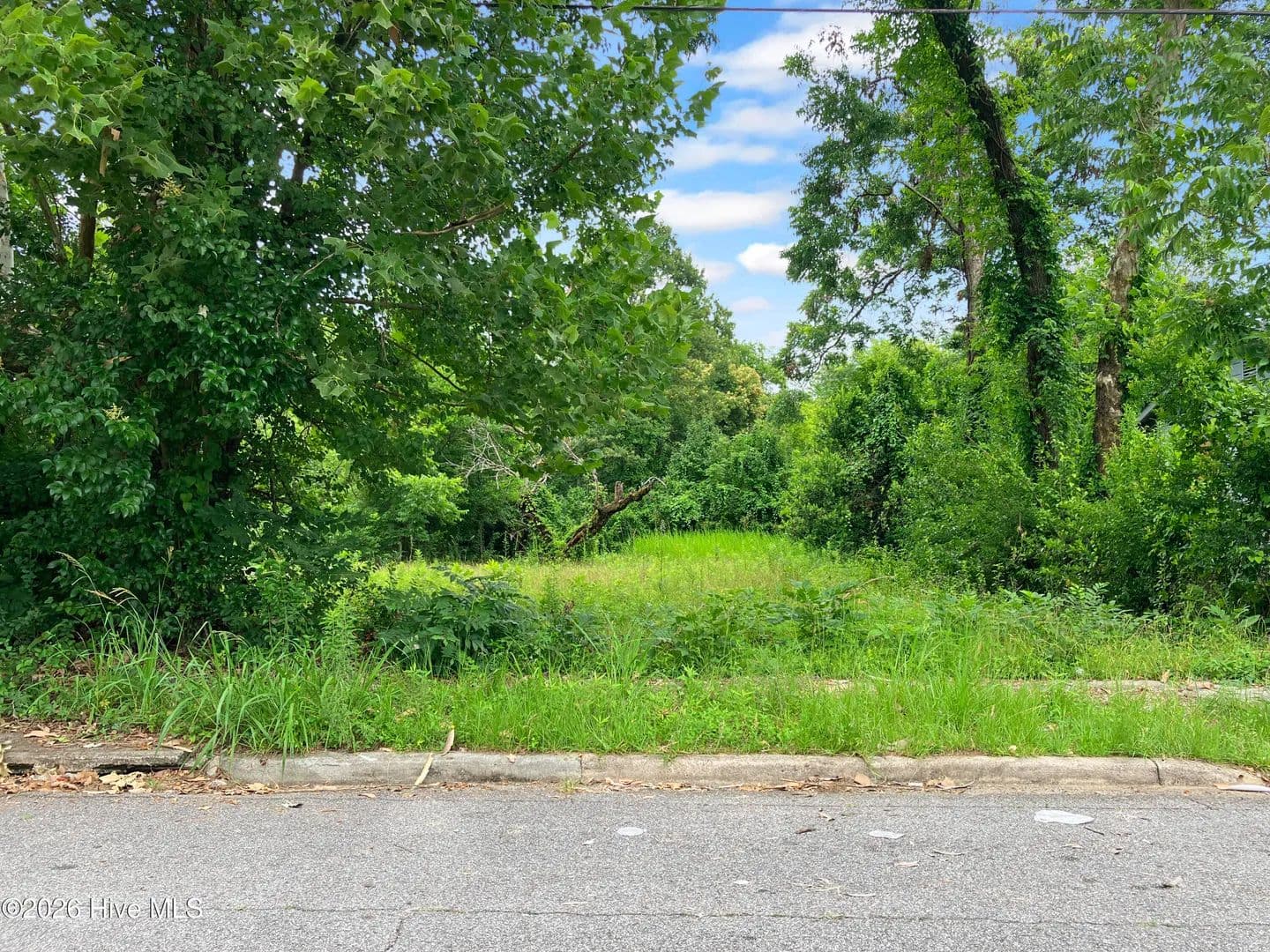 Property from 1432 Chestnut Street - KW - Augusta, Georgia, 30901