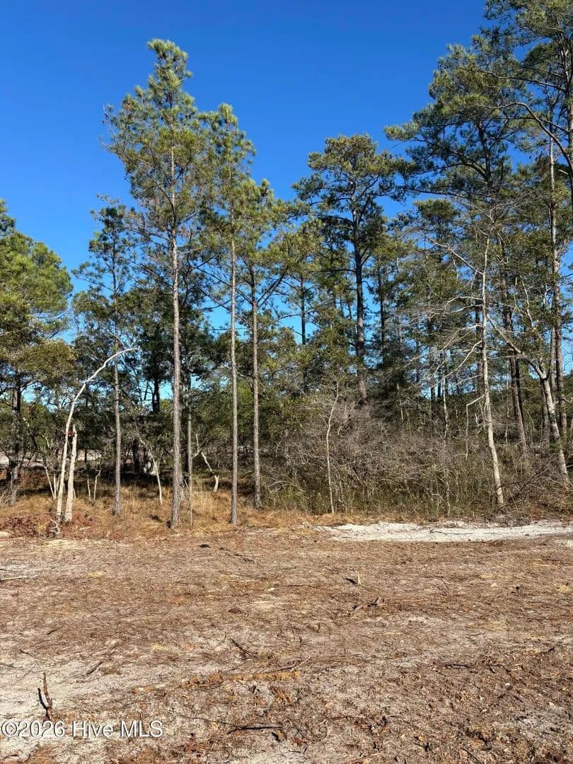 Property from Lot 138 Coral Gull Street - KW - Southport, North Carolina, 28461