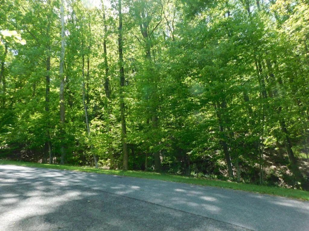 Property from 8321 Poplar Springs LN - KW - Roanoke, Virginia, 24018