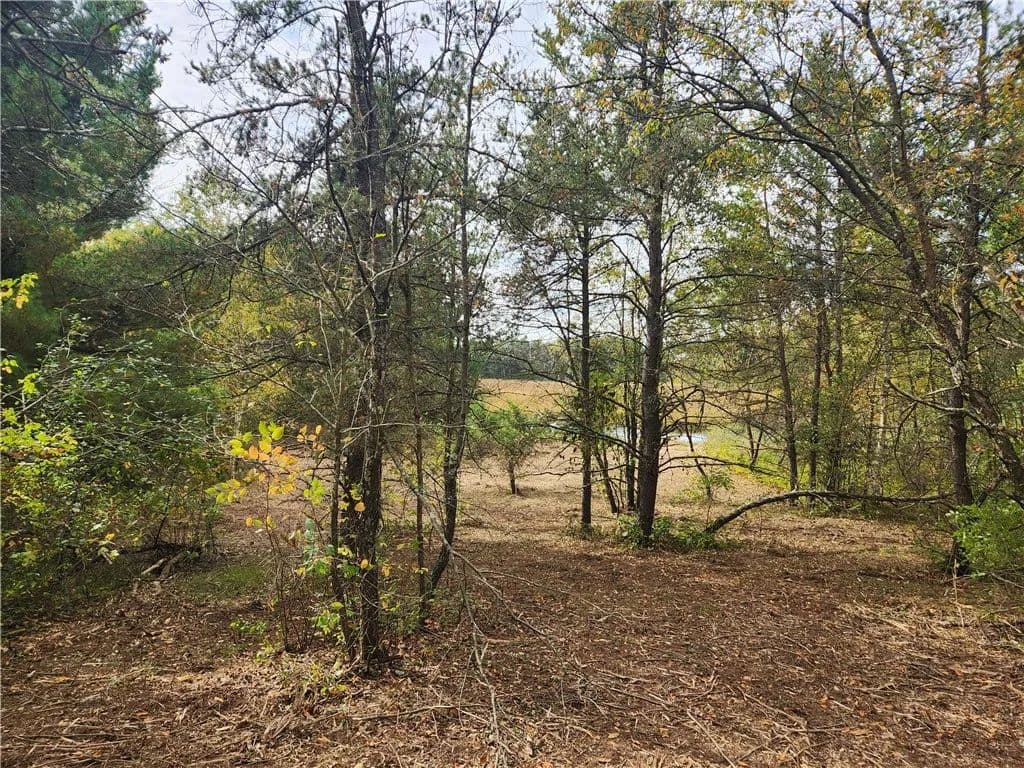 Vacant Land in Chetek - land for sale
